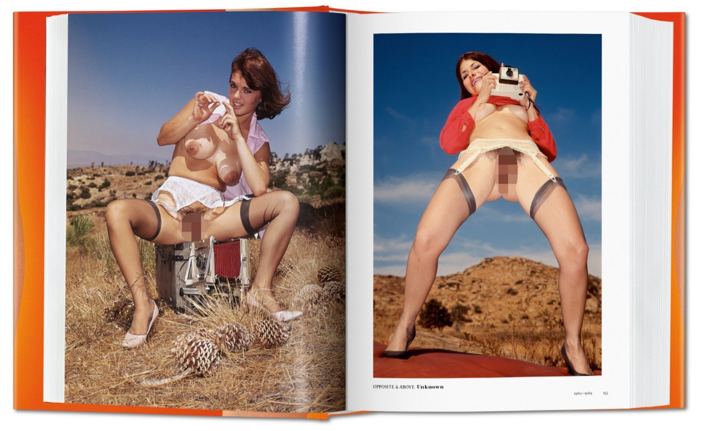 THE PUSSY BOOK