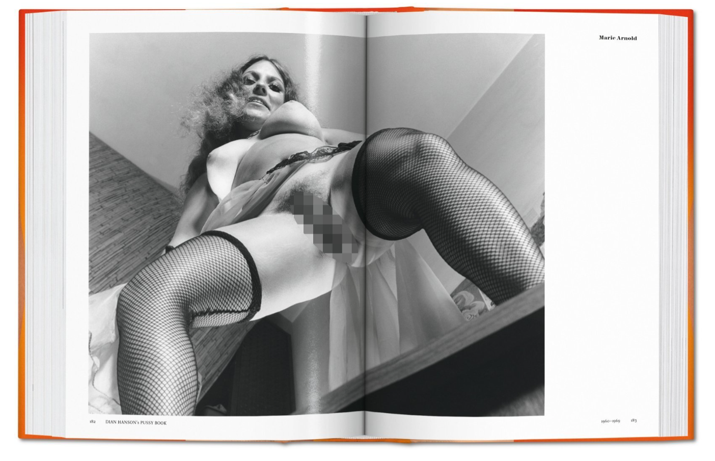 THE PUSSY BOOK