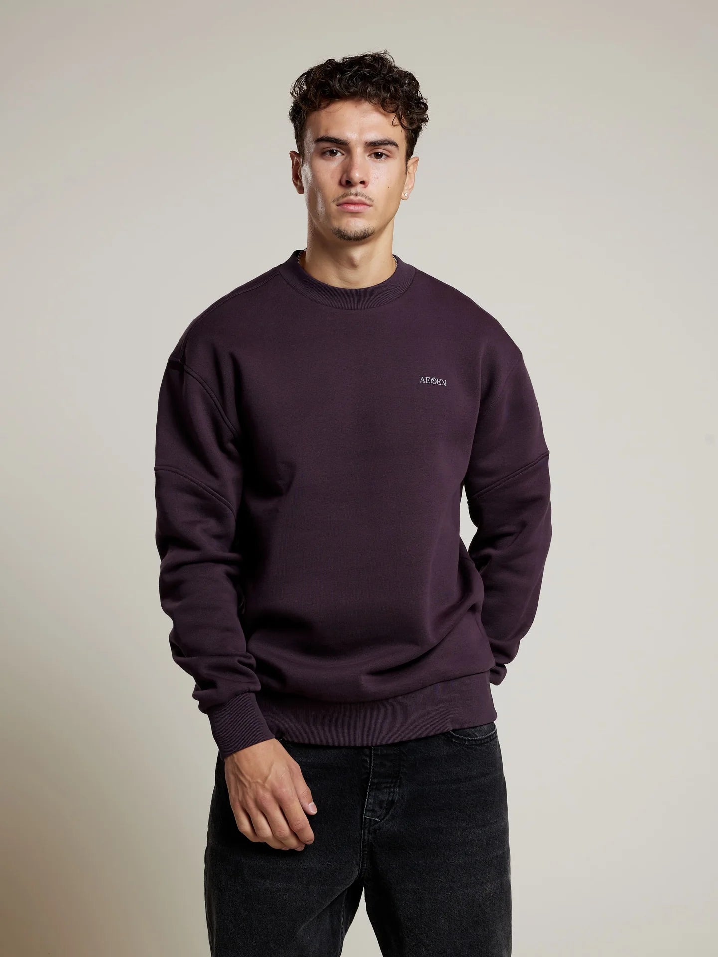 AEDEN PLUM SWEATER