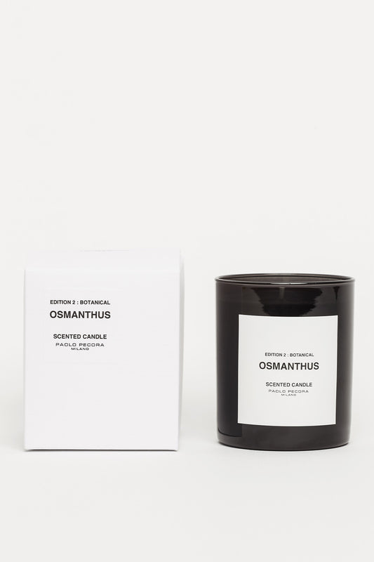 PAOLO PECORA "OSMANTHUS" CANDLE