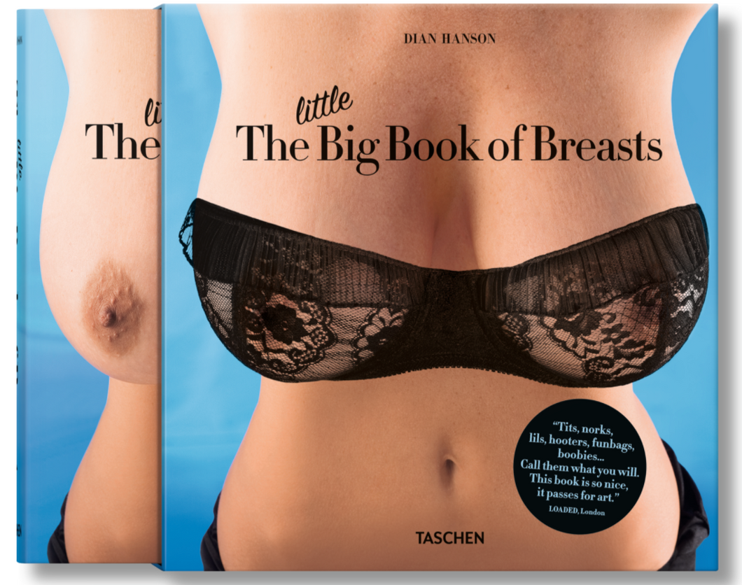 THE LITTLE BIG BOOK OF BREASTS